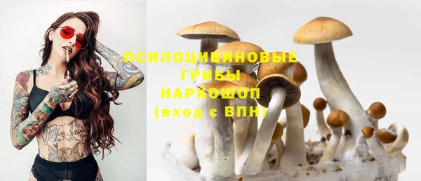 МДПВ Беломорск