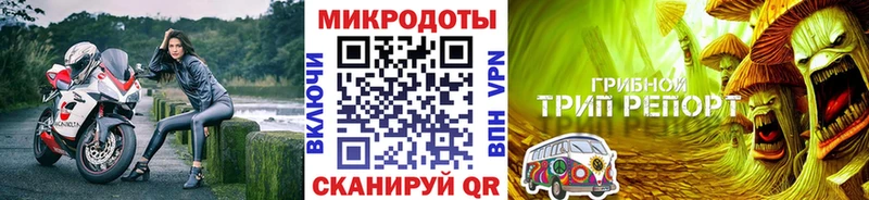 продажа наркотиков Мариинский Посад Галлюциногенные грибы GOLDEN TEACHER