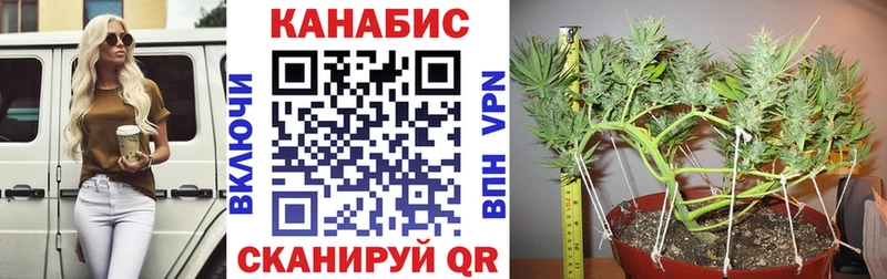 купить  цена  Мариинский Посад  Каннабис Amnesia 
